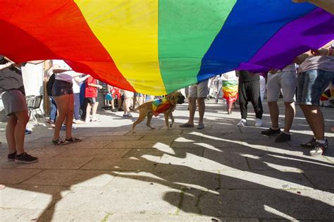 gays en vigo|Gay Galicia Guide 2024